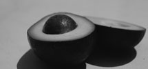 avocados