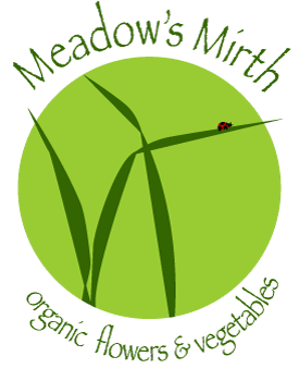 mm logo
