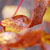 autumn leaves