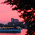 Boston