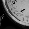 scale detail